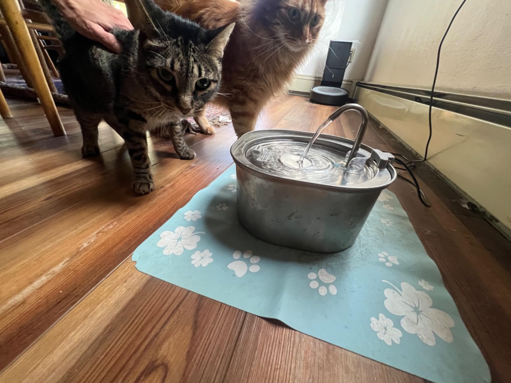 71svtkHIwgL.jpg__PID:0c4c8ea9-8ba4-47d1-98bd-8d50c7c019e0